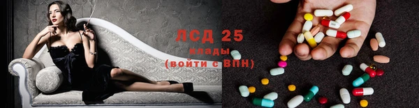 спайс Ельня
