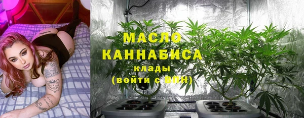 спайс Ельня