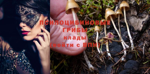 не бодяженный Елабуга