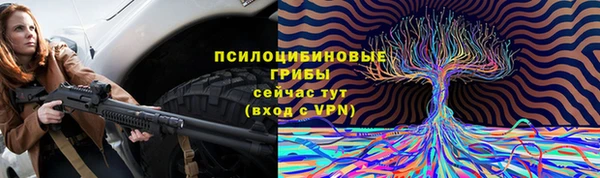 спайс Ельня