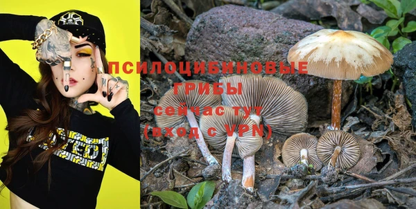 не бодяженный Елабуга
