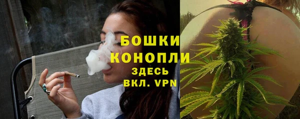 спайс Ельня